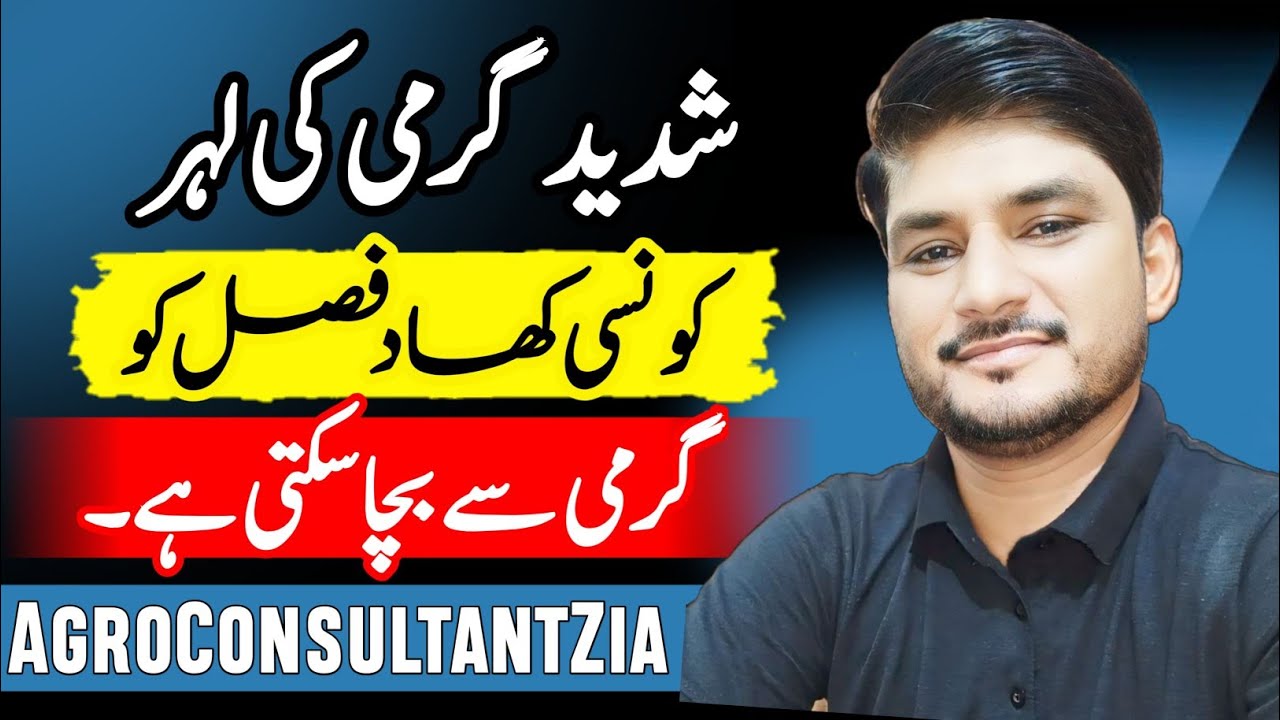 Best Fertilizer Plan During Heat Wave and Hot Weather Conditions | Heat Wave Management.