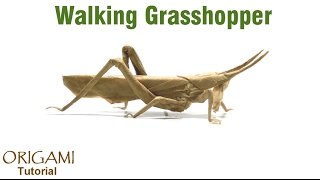 Origami Walking Grasshopper (Brian Chan) Origami Walking Grasshopper (Brian Chan)