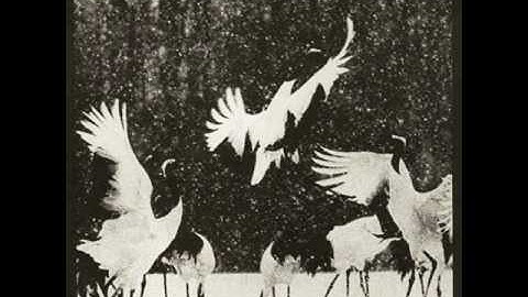 Apocalypse - Mother...Earth! (1992)