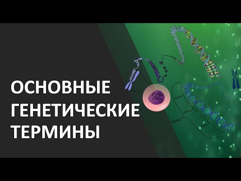 Основные генетические термины