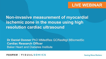 February 2020: Non-invasive measurement of myocardial ischemic zone in the mouse