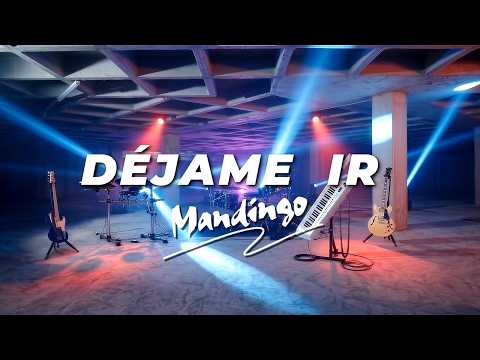 Mandingo - Let Me Go (Visualizer)