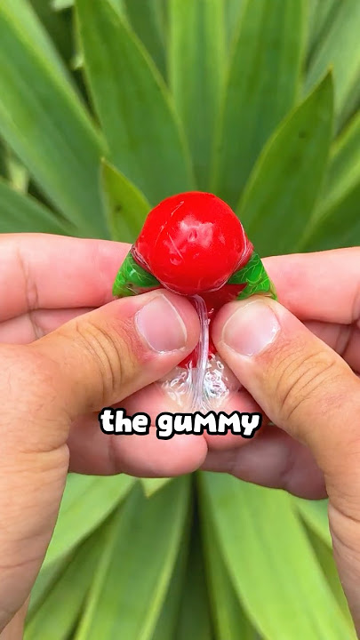 what Raindrop Gummies look like