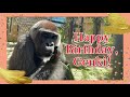 ゲンキ誕生日動画2023