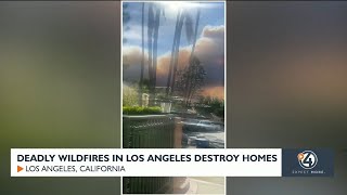 Deadly LA wildfires destroy homes