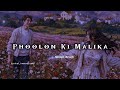 Phoolon Ki Malika Hai Slowed Reverb Lost In Love Vibes Full Version