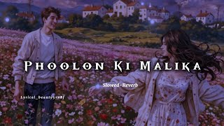 Phoolon Ki Malika Hai 💐✨ | Slowed \u0026 Reverb | Lost in Love Vibes | Full Version