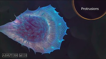 Role Of Cytoskeleton In Cell Motility