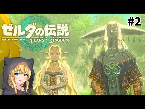 ゼルダの伝説 ティアーズオブザキングダム 全28種 アートパネル第２弾（通常版） ゼルダの伝説 ティアーズオブザキングダム 全28種 アートパネル