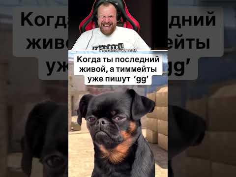 Петренто тиммейты #петренто #приколы #прикол #petrento