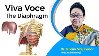Viva Vocee of Diaphragm | Clinical Anatomy | Dr Sibani Mazumder