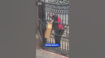 Delivery driver goes the extra mile to protect a parcel