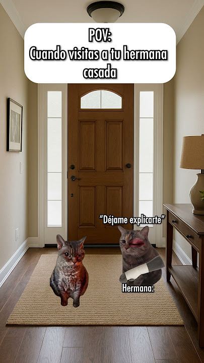 Cuando visitas a tu hermana casada 🐱 #catmemes #gatitos #funnyvideo