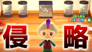 僕の家がエイリアンに侵略されました...「あつまれ どうぶつの森」【3日目】