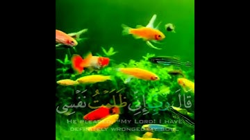 القارئ: ياسر الدوسري//ستوريات انستا دينية//حالات واتس اب دينية//القارئ: ياسر الدوسري//بدون حقوق