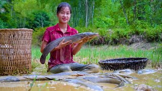 Ella Harvesting Catfish Goes to the market sell