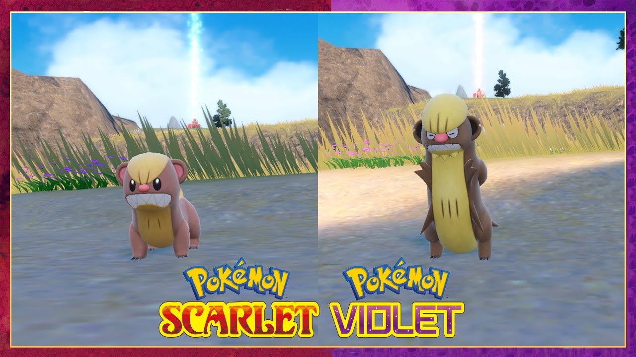 Pokemon Scarlet & Violet How To Evolve Yungoos Into Gumshoos - YouTube