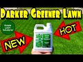 Simple Lawn Solutions New Darker Green Iron | Best Liquid Iron
