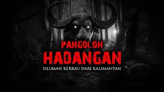 TEROR PANGOLOH HADANGAN ( SILUMAN KERBAU DARI KALIMANTAN ) By mshidiq tanyademit