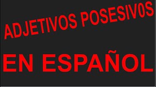 Adjetivos posesivos (Lección de gramática)