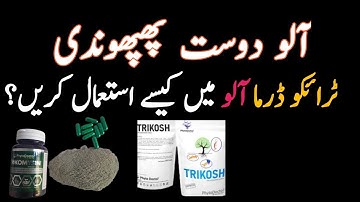How to use trichoderma in potato ||#potato ||#trichiderma ||#Agriculture |biofungicide