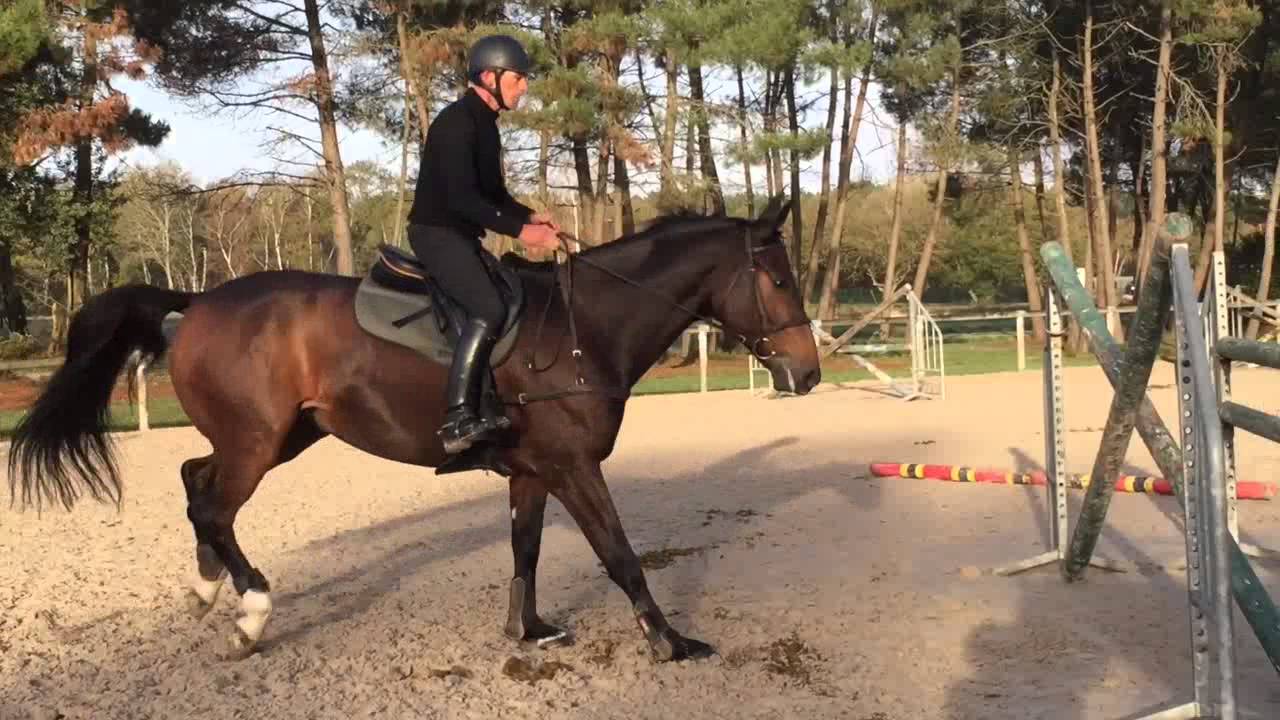 Erwan Le Roux November 2015