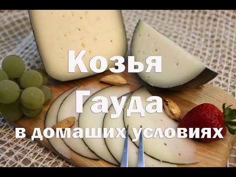 Сыр гауда из козьего молока в домашних условиях