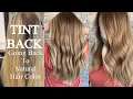 TINT BACK | Going Back To Natural Hair Color | FOILING & ROOT SHADOW