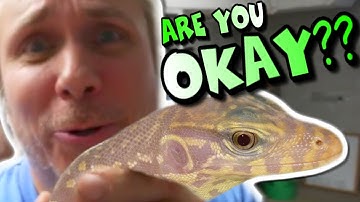 IS MY ALBINO MONITOR LIZARD SICK??? | BRIAN BARCZYK