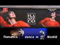 Baile flamenco en Madrid. Flamenco dance in Madrid. Фламенко в Мадриде. 1