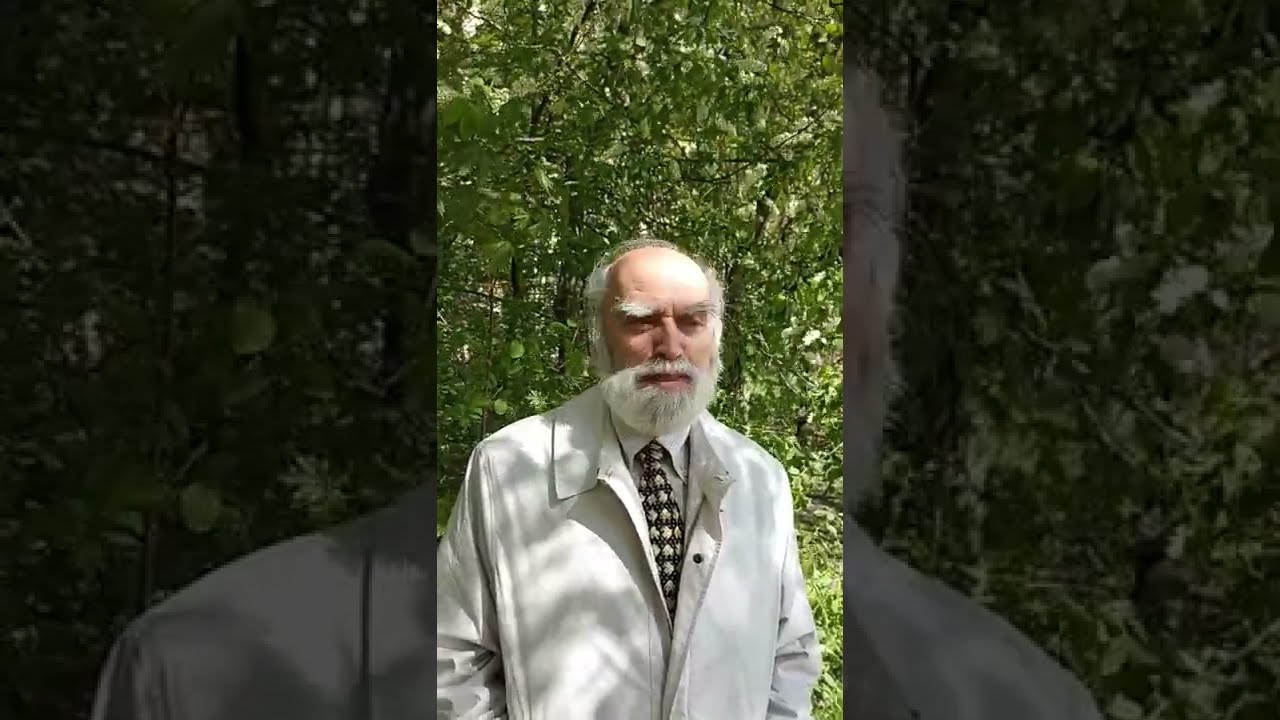 Пейсахович дмитрий витальевич москва Пейсахович дмитрий витальевич москва