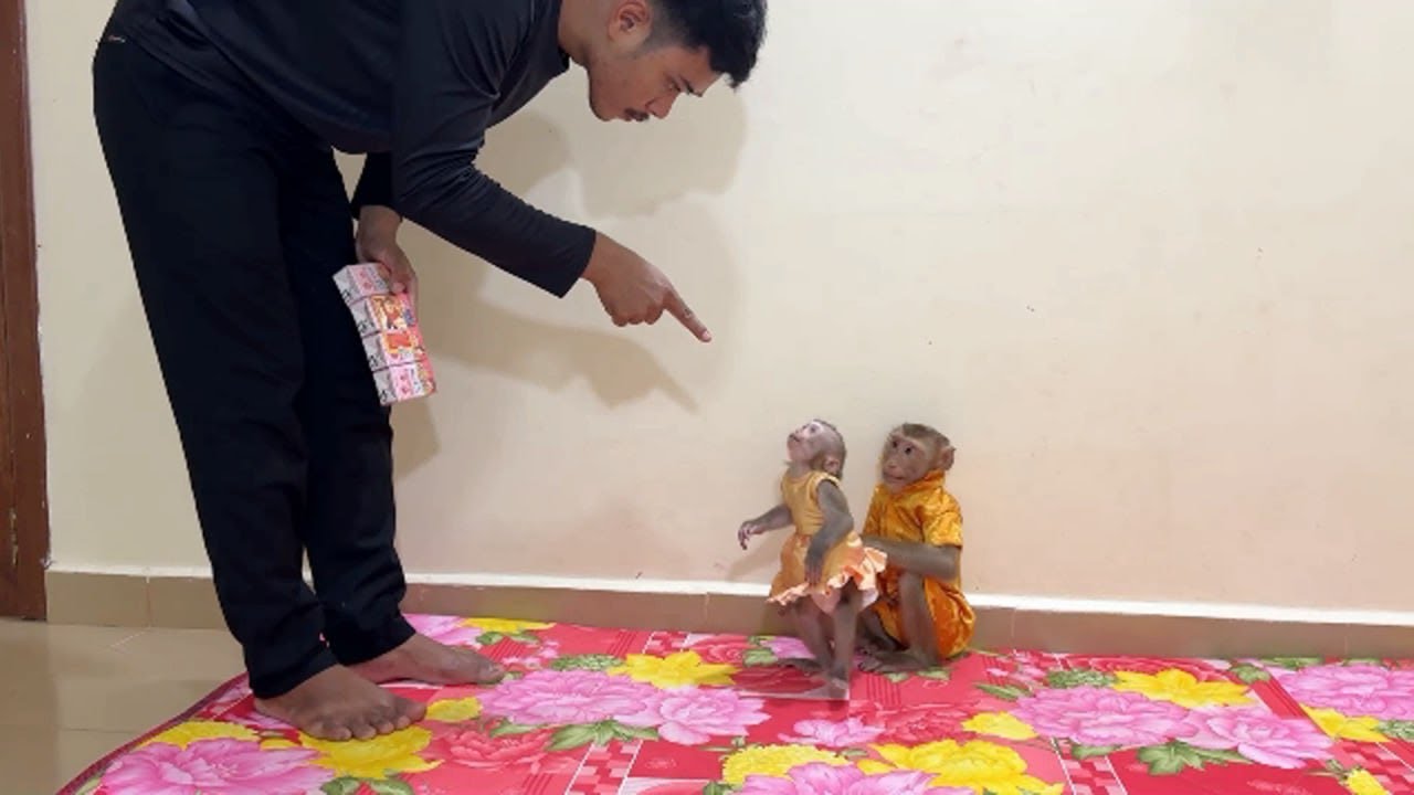 Brave Linda Stand Up Straight Anqry Dad Point Her &  PoPo To Sit Obedient