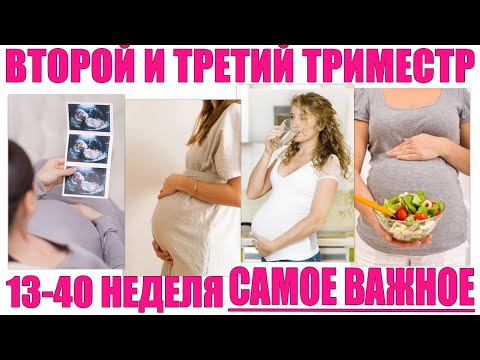 ВТОРОЙ И ТРЕТИЙ ТРИМЕСТРЫ БЕРЕМЕННОСТИ | Все что нужно знать беременной женщине с 13 по 40 неделю