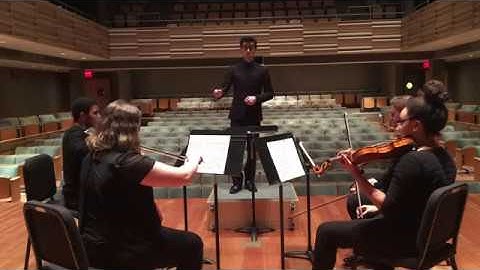 Tchaikovsky Symphony No. 5 Mov.1 (Excerpt)