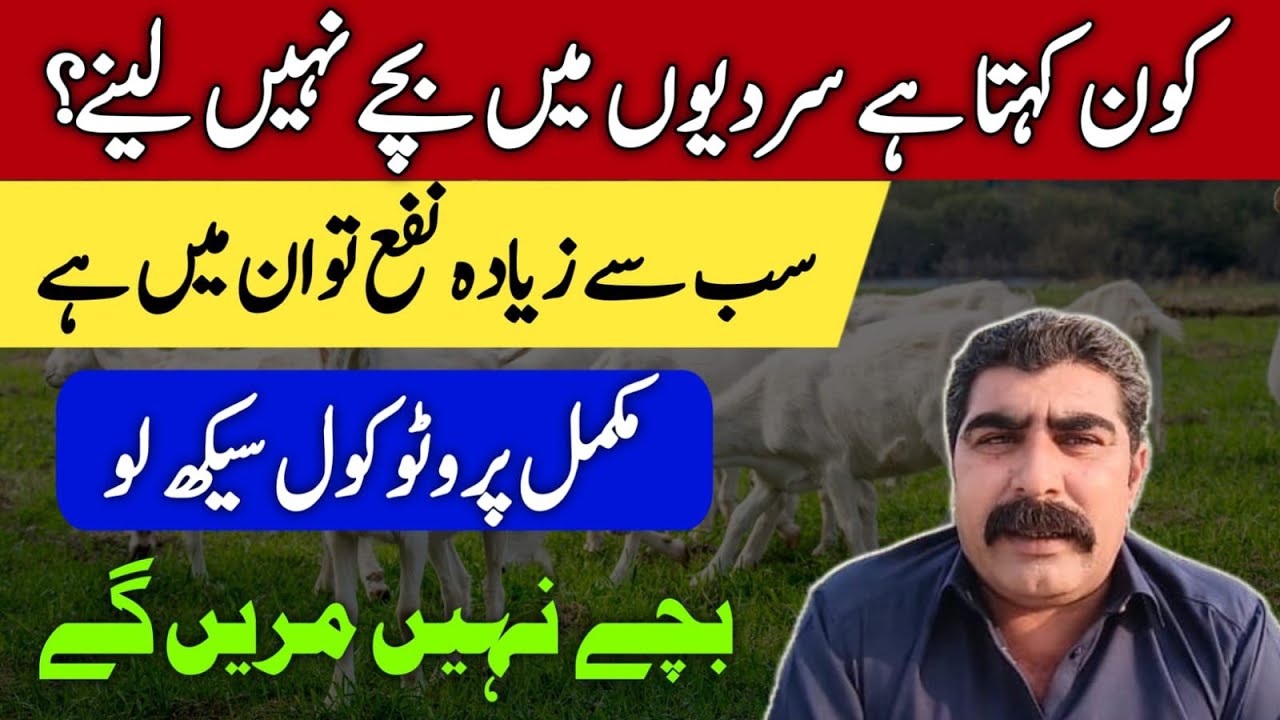 Care of the kids in winter 