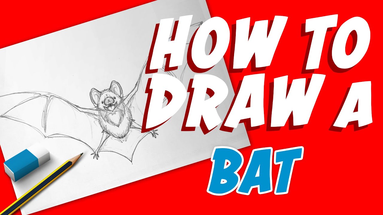 simple-bat-drawing-guide-in-7-steps-video-images