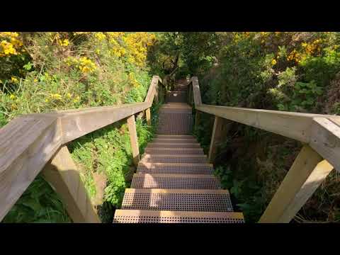 Dunmore East Cliff Walk