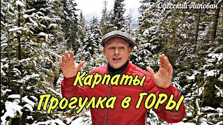 УКРАИНА  2021 отель Галушко прогука в горы УДИВИТЕЛЬНЫЕ ИСТОРИИ КАРПАТЫ  # 194