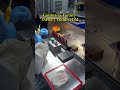 Cosmetics Factory Tour | Full OEM & ODM Makeup Production Line. #b2bcosmetics #makeupmanufacturer