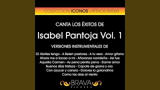 Con Azucar y Canela (Instrumental Version) (Originally Performed By Isabel Pantoja)