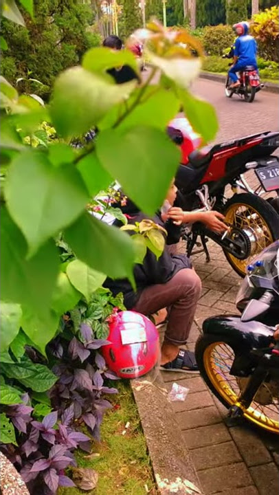 cocok Buat story wa.    TRAWAS Mojokerto