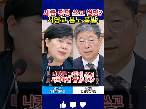 서영교 위원장, 국민 혈세 집행 내역 부실 해명한 법원행정처 강도 높게 직격