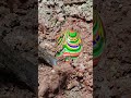Full Video On Homepage Gems Agate Crystal Gold Gems Diamonds Gold Mines Emeralds Pearl Full Video On Homepage Gems Agate Crystal Gold Gems Diamonds Gold Mines Emeralds Pearl