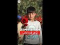مشاهد لأطفال يلعبون ويجمعون شقائق النعمان في إدلب مشاهد لأطفال يلعبون ويجمعون شقائق النعمان في إدلب