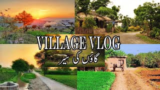 Beautiful Village Life Family Vlog || Sugarcane Juice Jaggery Making || Village Vlogs