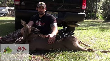 Bowhunting Deer: Early Season Doe for the Freezer