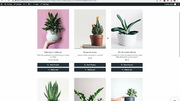 How to add full ecommerce to Wordpress Gutenberg with Shoprocket, in seconds