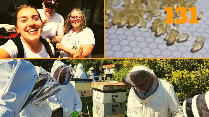 Christmas Time in the Bee Yard - KM131