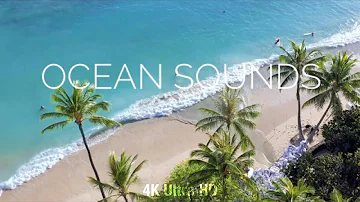 OCEAN SOUNDS - Tropical Beach with Palm Trees - Soothing Waves & Ocean Sounds - 4K Ultra HD