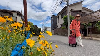 Japanese modern house neighborhood walking tour in countryside village | 4K HDR Japan Walk